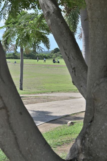 Upcoming Golf Tournament